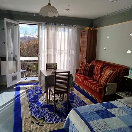 Entiere Apartment Pau